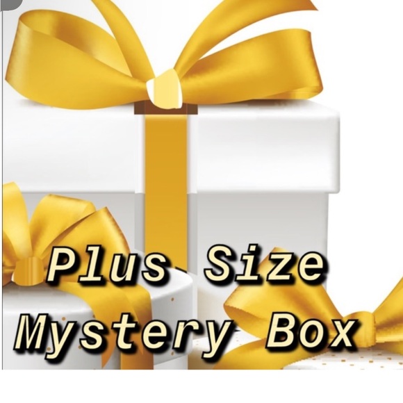 MYSTERY PLUS SZ $50 BOXES 1X UP 5X 5LB BXS MAY  INC ELOQUII ASHLEY STEWART MORE - Picture 2 of 4